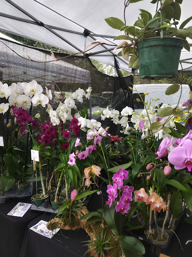 Park «Plantation Heritage Park», reviews and photos, 1100 S Fig Tree Ln, Plantation, FL 33317, USA