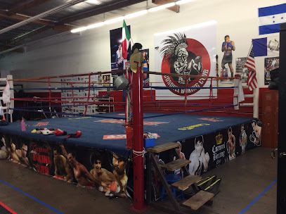 Coronel Boxing Club - 12341 Foothill Blvd, Sylmar, CA 91342