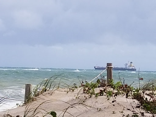 State Park «Hugh Taylor Birch State Park», reviews and photos, 3109 E Sunrise Blvd, Fort Lauderdale, FL 33304, USA