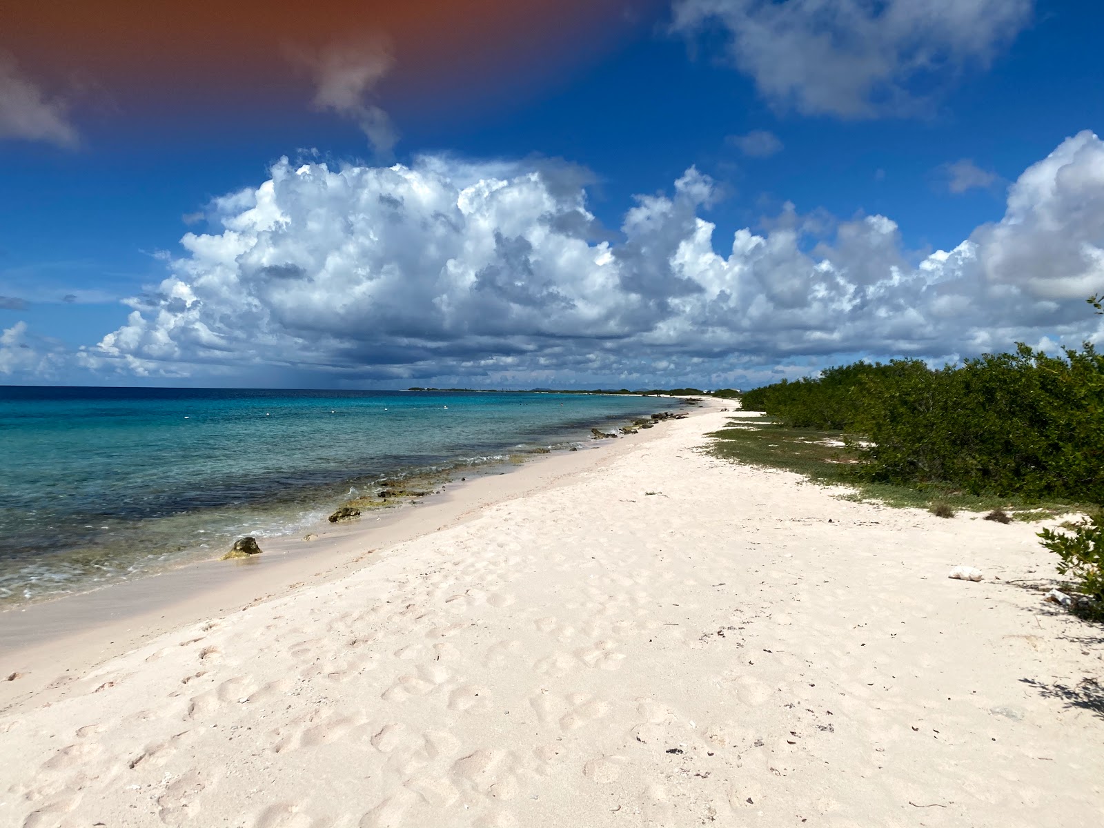 Foto van Pink Beach Bonaire gelegen in een natuurlijk gebied