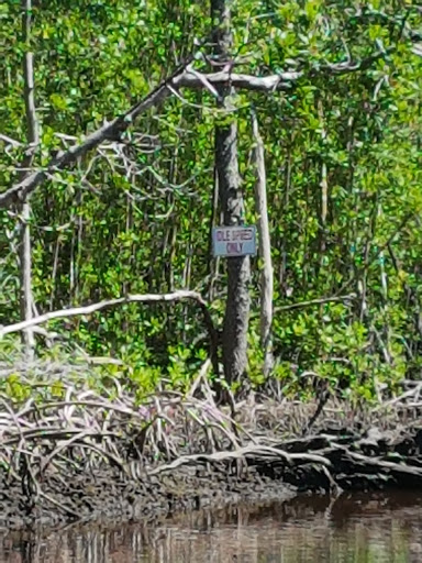 Boat Tour Agency «Everglades Excursions», reviews and photos, 1010 6th Ave S #1, Naples, FL 34102, USA