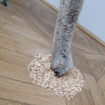 Photo n° 12 de l'avis de Noeuds.a fait le 28/02/2020 à 19:40 pour Musée d’arts de Nantes à Nantes