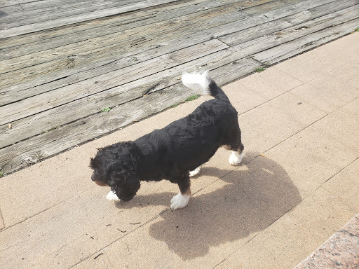 Park «Branford Point», reviews and photos, 4 Harbor St, Branford, CT 06405, USA