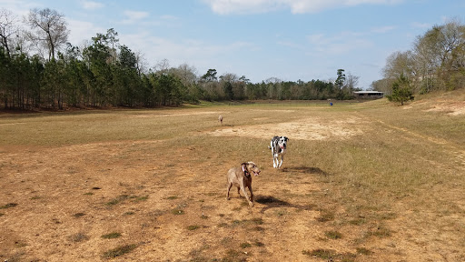 Park «Wiggins Village Park», reviews and photos, 565 Bryant Rd, Conroe, TX 77303, USA