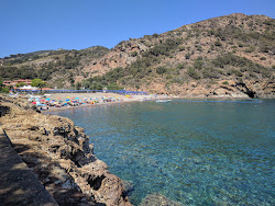 Ortano beach'in fotoğrafı #42 ile birlikte