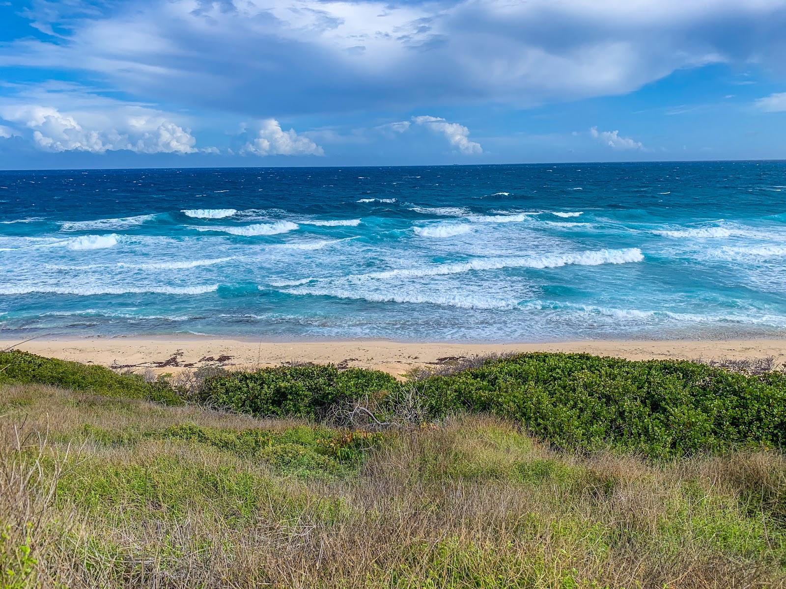 Foto de Isaacs Bay beach - lugar popular entre los conocedores del relax