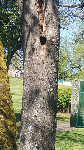 Park «Hillendale Park», reviews and photos, 19260 Clairmont Way, Oregon City, OR 97045, USA