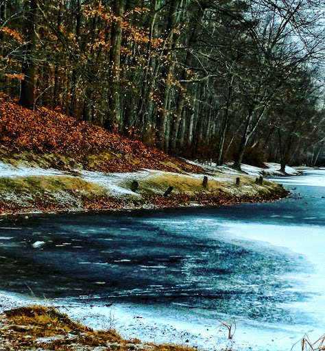 Park «Louise F Cosca Regional Park», reviews and photos, 11000 Thrift Rd, Clinton, MD 20735, USA