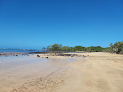 Foto von Strand der Biologie mit geräumige küstenlinie