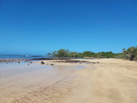 Strand der Biologie