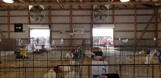 Tourist Attraction «Clinton County Fairgrounds», reviews and photos, 958 W Main St, Wilmington, OH 45177, USA