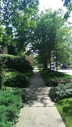 Brown Park - photo 6