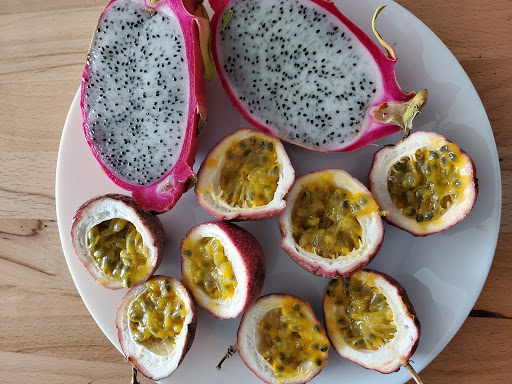 Shopping Mall «Oceanwalk Mall», reviews and photos, 101 N Ocean Dr, Hollywood, FL 33019, USA