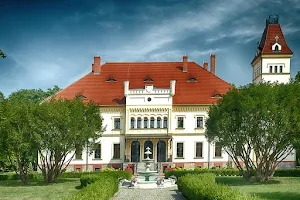 The palace Borek Strzelin image