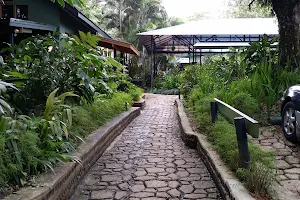 Rainforest Eco Lodge image