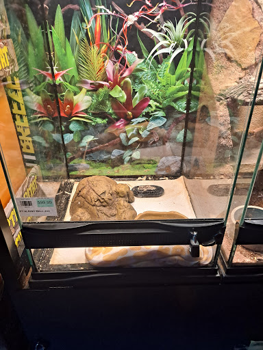 Pet Store «Petland Montgomery», reviews and photos, 7127 Eastchase Pkwy, Montgomery, AL 36117, USA