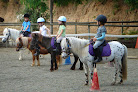 Best Horse Riding In Barcelona Near You