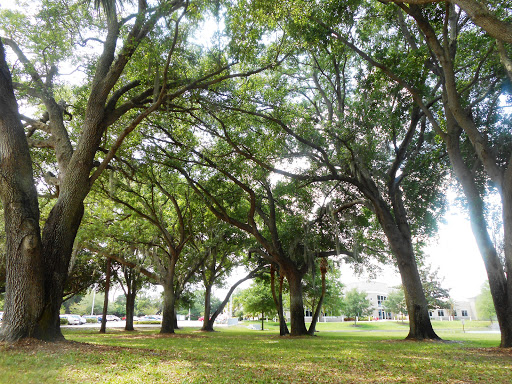 Community Center «Dunedin Community Center», reviews and photos, 1920 Pinehurst Rd, Dunedin, FL 34698, USA