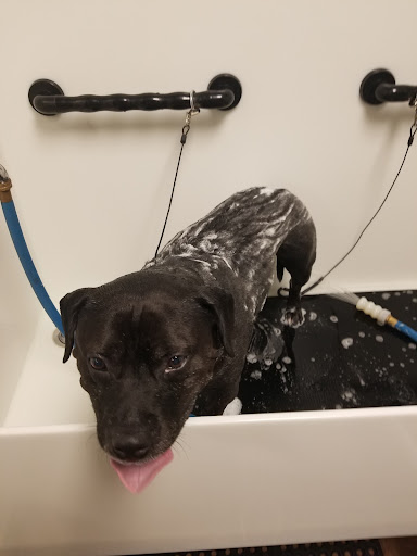 Pet Supply Store «EarthWise Pet Panama City», reviews and photos, 632 W 23rd St, Panama City, FL 32405, USA