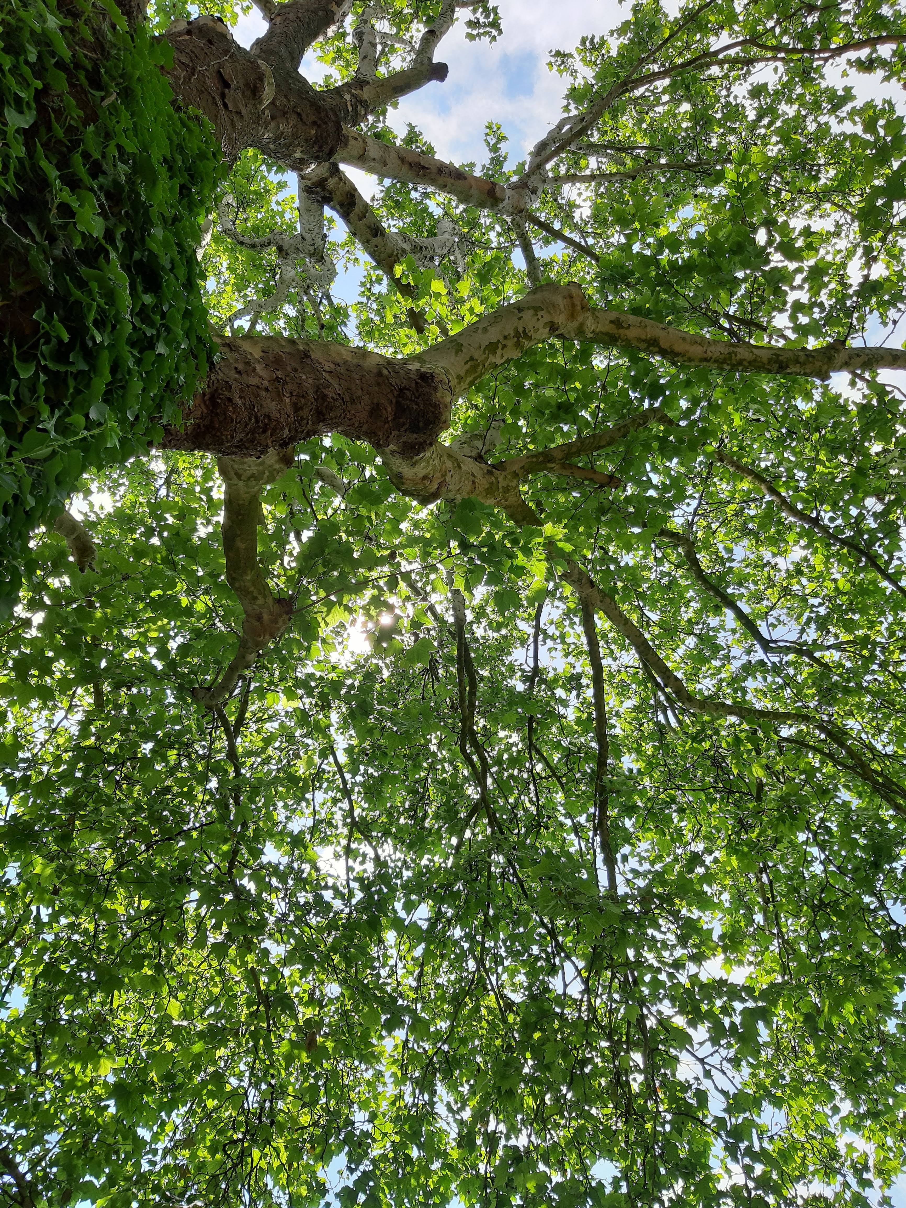 Photo n° 6 de l'avis de ka.i fait le 14/06/2019 à 13:23