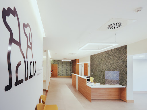 Tanatomascota en Valladolid.