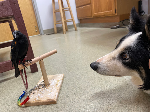 1308 S Main St, Mt Airy, MD 21771, USA