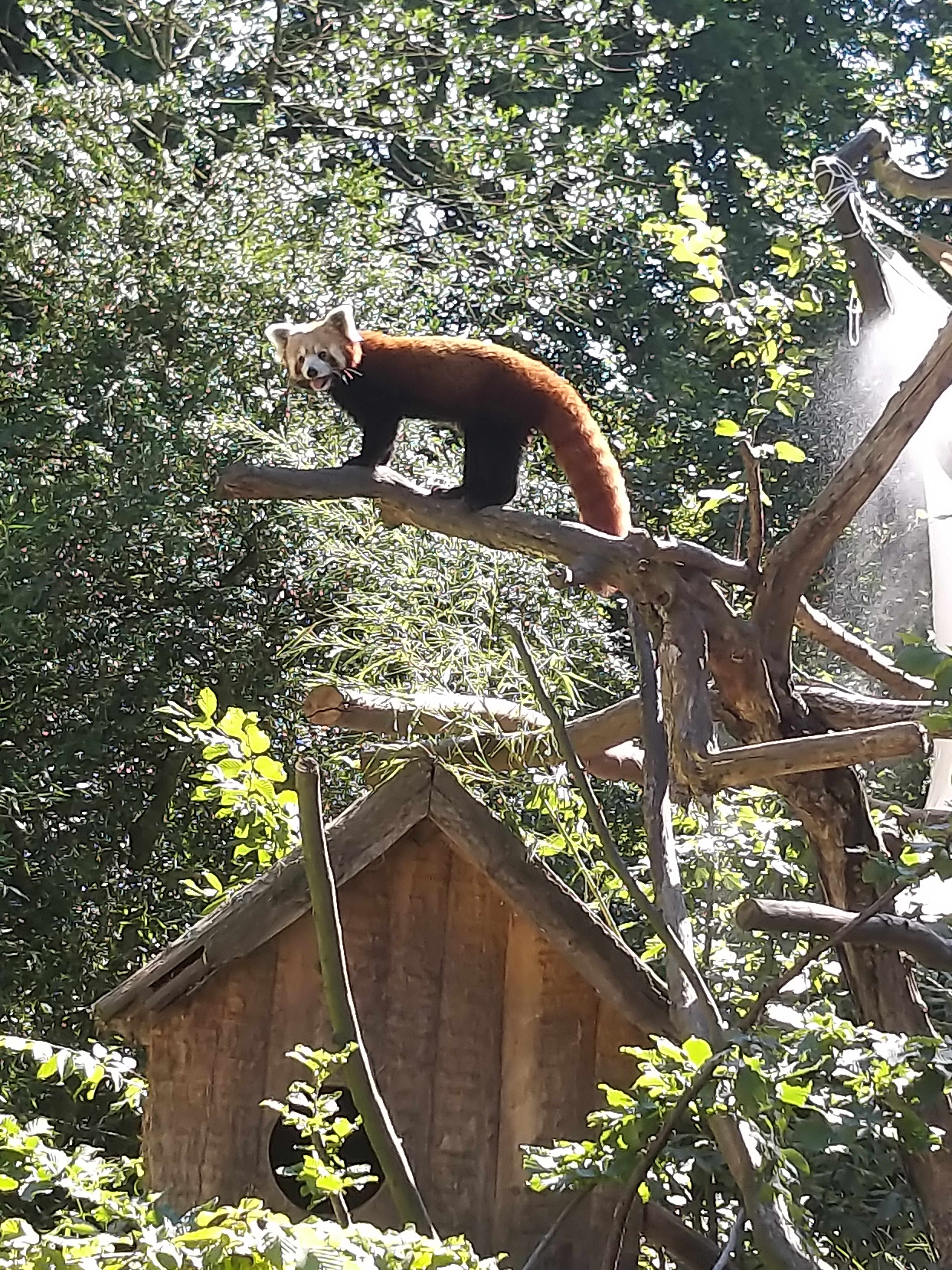 Photo n° 6 de l'avis de Angelique.a fait le 25/08/2019 à 15:14