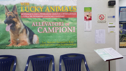 Centro Lucky Animals