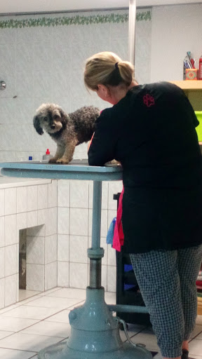Hundesalon Herdt unter Oberthal, 