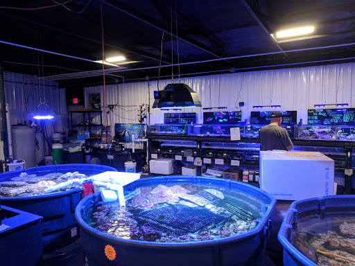 Tropical Fish Store «Premium Aquatics», reviews and photos, 401 E Center Cross St, Edinburgh, IN 46124, USA
