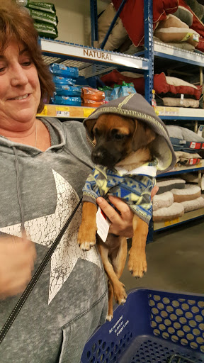 Pet Supply Store «PetSmart», reviews and photos, 33963 Doheny Park Rd, San Juan Capistrano, CA 92675, USA