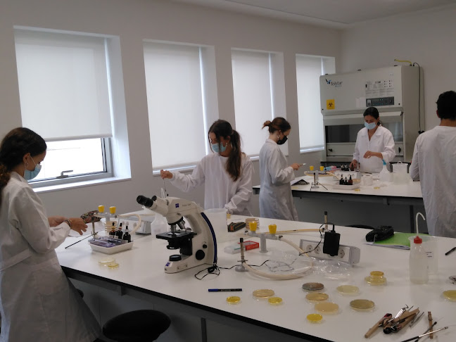 Avaliações doEscola Superior de Biotecnologia - Universidade Católica Portuguesa em Porto - Universidade