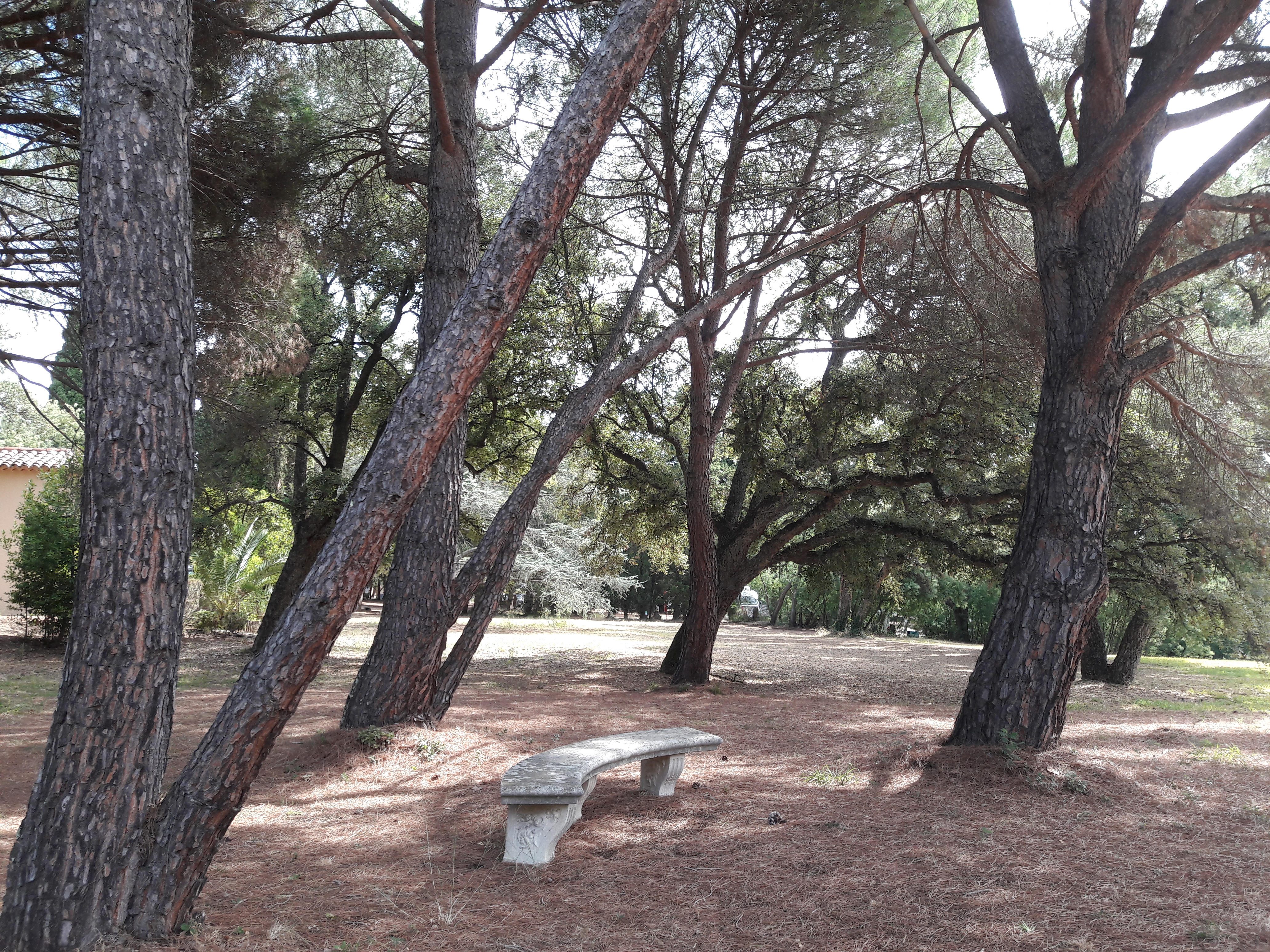 Photo n° 1 de l'avis de BMB.O fait le 15/09/2019 à 18:06