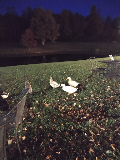 Winery «Hartford Hill Winery», reviews and photos, 3864 Bushnell Campbell Rd, Fowler, OH 44418, USA