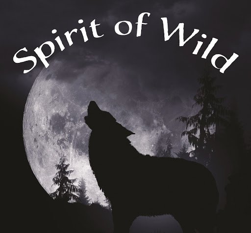 Spirit of Wild - das Hundefutter unter Laichingen, 