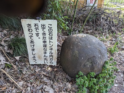 幸運なまん丸な石
