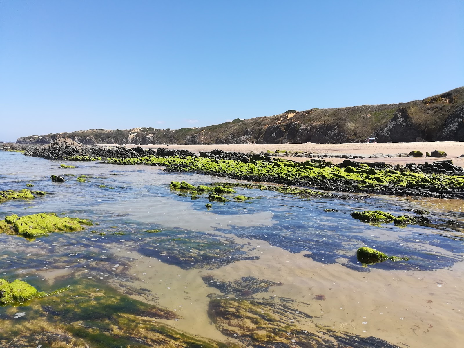 Praia do Brejo Largo的照片 带有碧绿色纯水表面