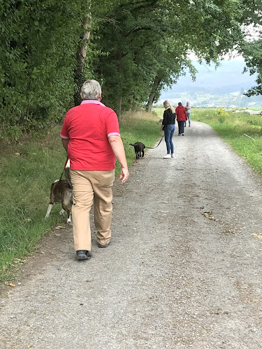 Kommentare und Rezensionen über Hundeschule Kerstin Klopp