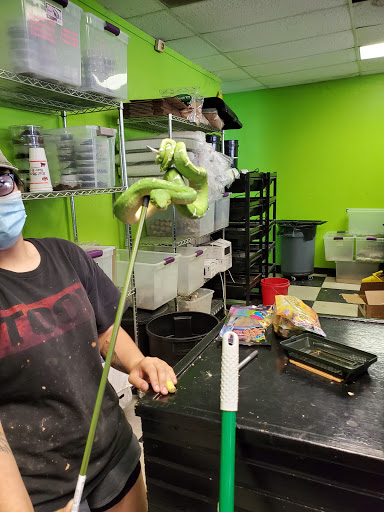 Reptile Store «Reptile Pets Direct», reviews and photos, 8088 Pat Booker Rd, Live Oak, TX 78233, USA