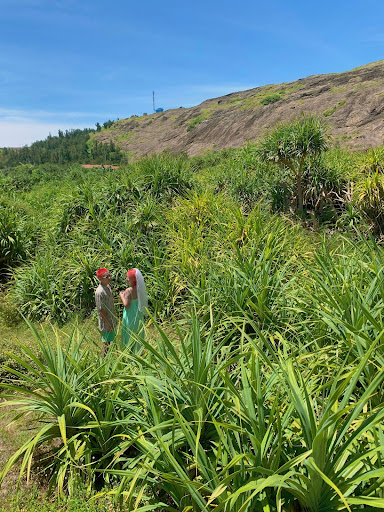 Top 20 cửa hàng akemi Huyện Lý Sơn Quảng Ngãi 2022