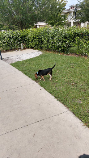 Community Center «Starling Club at Fishhawk Ranch», reviews and photos, 15808 Starling Crossing Dr, Lithia, FL 33547, USA