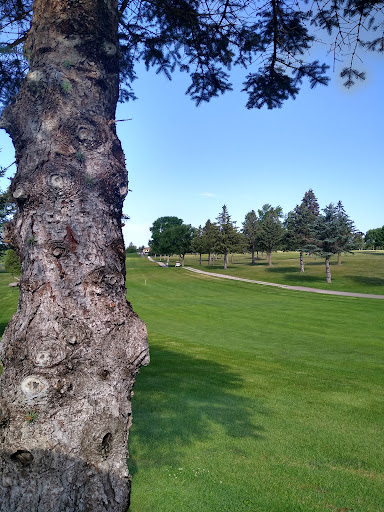 Public Golf Course «Shamrock Golf Course», reviews and photos, 19625 Larkin Rd, Corcoran, MN 55340, USA