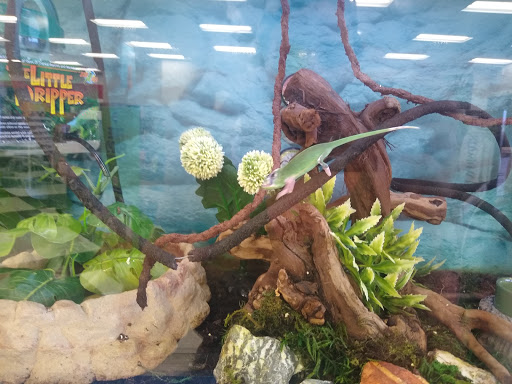 Pet Supply Store «Petco Animal Supplies», reviews and photos, 1410 N Loop 336 W, Conroe, TX 77304, USA