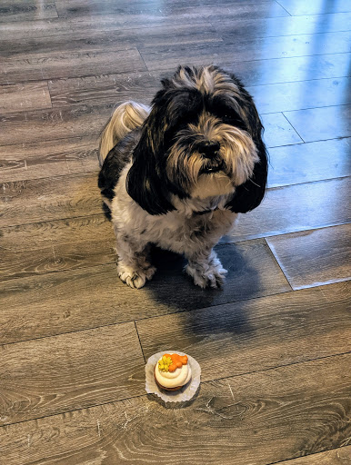 Pet Supply Store «Three Dog Bakery Inc», reviews and photos, 13904 Town Center Blvd # 200, Noblesville, IN 46060, USA