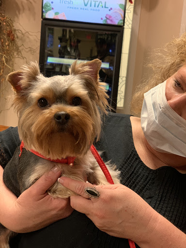 Pet Boarding Service «About Pets Center», reviews and photos, 1604 Conehurst Blvd, Salem, VA 24153, USA