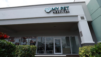 Exceptional care and compassion! Our experience at My Pet Hospital was nothing short of fantastic