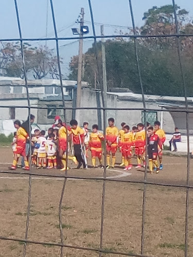 Opiniones de siete estrellas baby club en Montevideo - Campo de fútbol