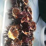 Photo n°3 de l'avis de Loana.a fait le 17/03/2019 à 14:33 sur le  Ricciolandia à Torre Canne