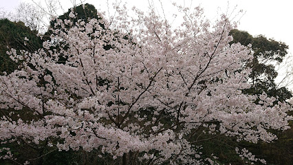 発心公園 駐車場