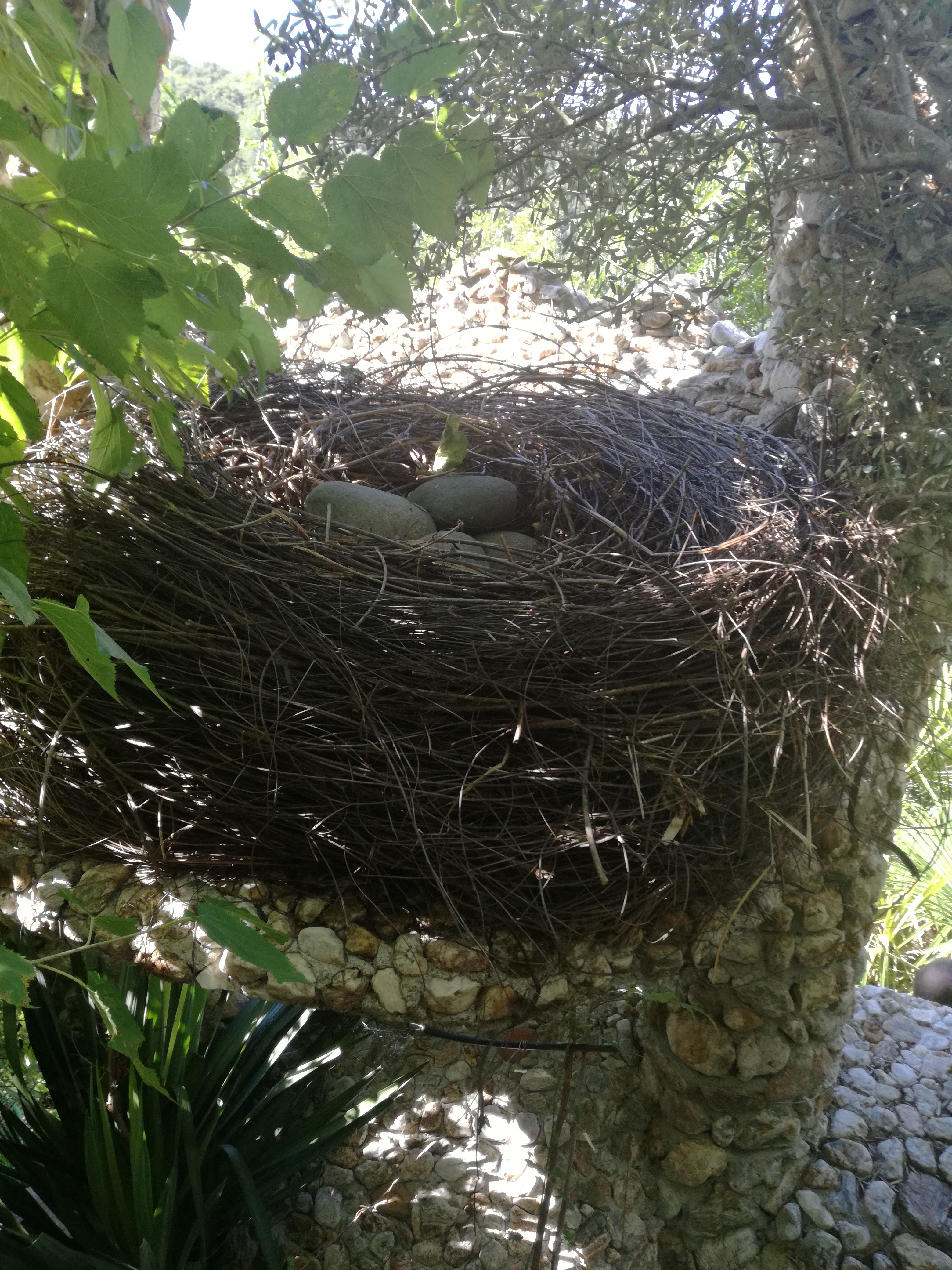 Photo n° 1 de l'avis de Thierry.u fait le 18/08/2018 à 12:59